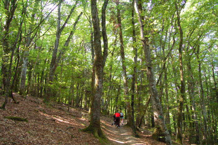 Sandrine BAVEREL Montagnes du Jura BFC 0006466
