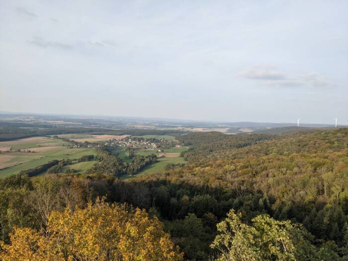Tour des bois Octobre 2021 OT BLD 8