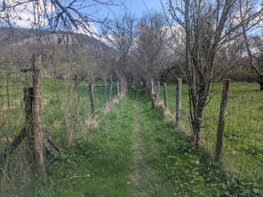 Quartier de Cour et Sous Buen printemps 2025 OT Doubs Baumois 20