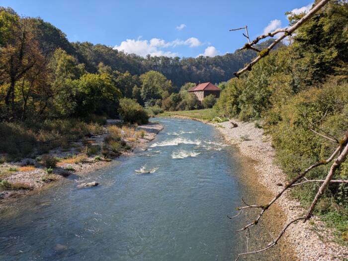 Fente de babre Septembre 2025 OT Doubs Baumois 22