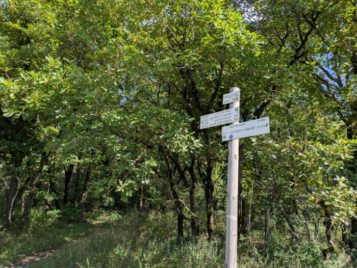 Fente de babre Septembre 2025 OT Doubs Baumois 6