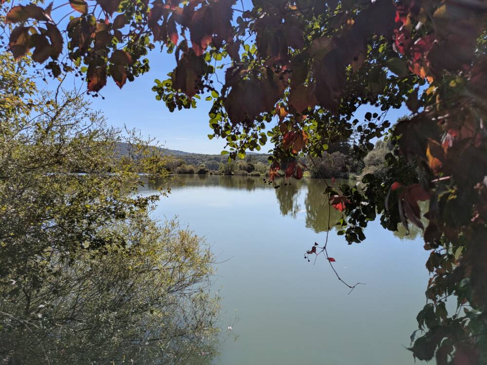 Les etangs de Rigney 2025 Ot Doubs Baumois 13