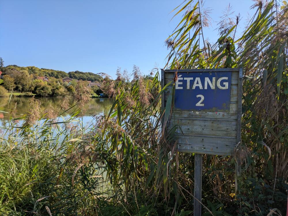 Les etangs de Rigney 2025 Ot Doubs Baumois 28 1