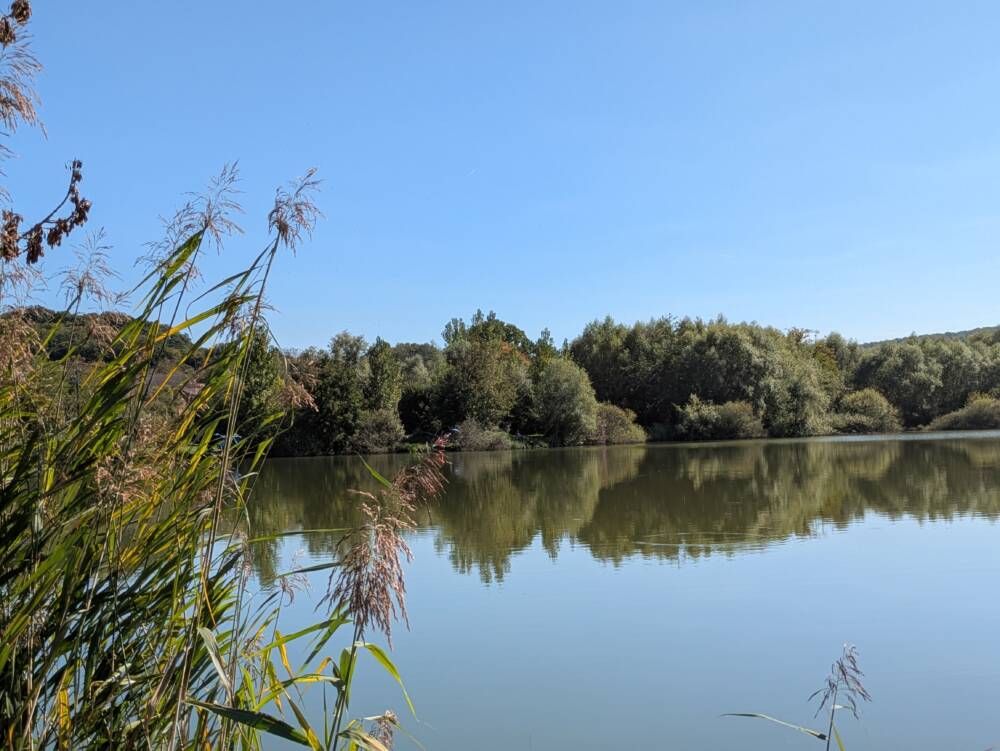 Les etangs de Rigney 2025 Ot Doubs Baumois 30