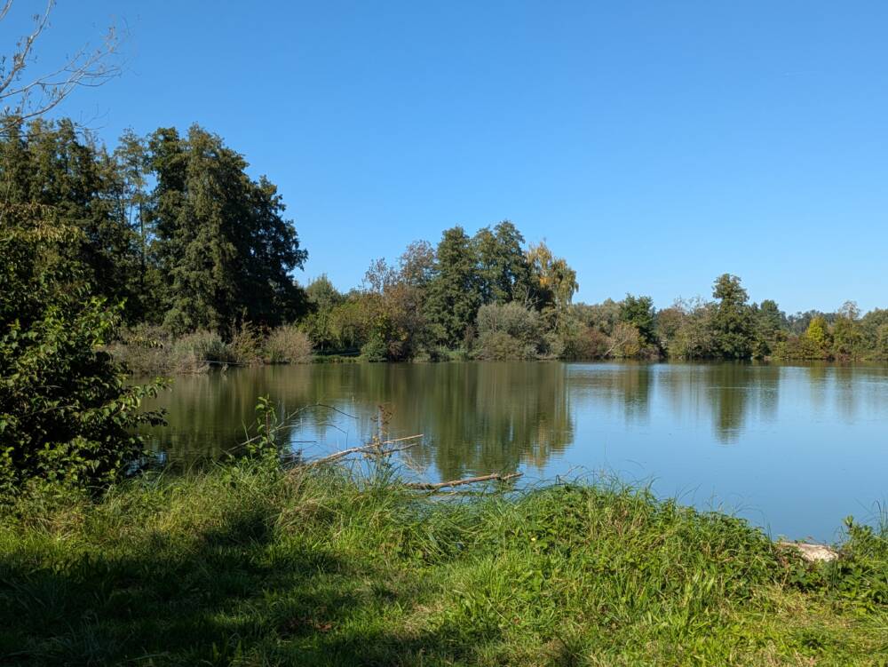 Les etangs de Rigney 2025 Ot Doubs Baumois 33