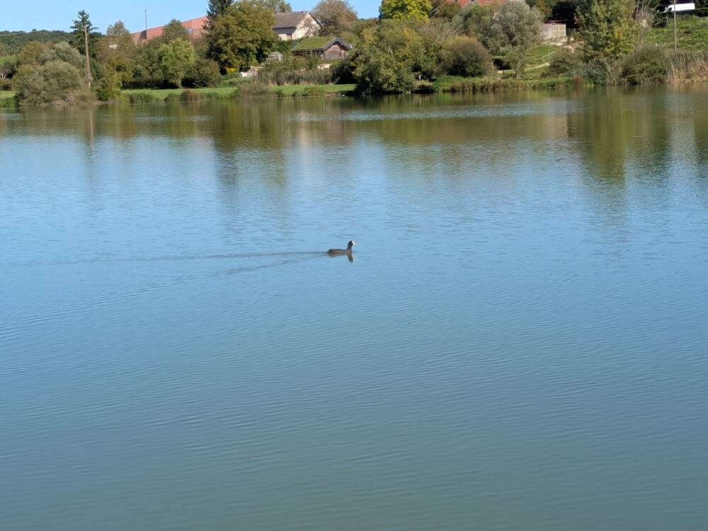 Les etangs de Rigney 2025 Ot Doubs Baumois 38