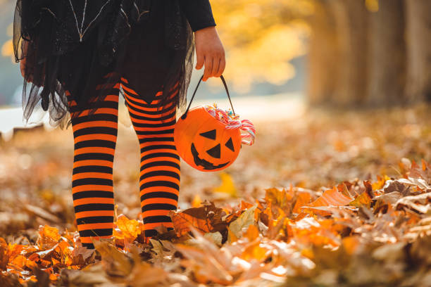 istockphoto 1271202761 612x612 1