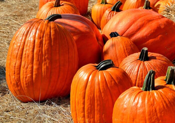 pumpkins 1572864 1280