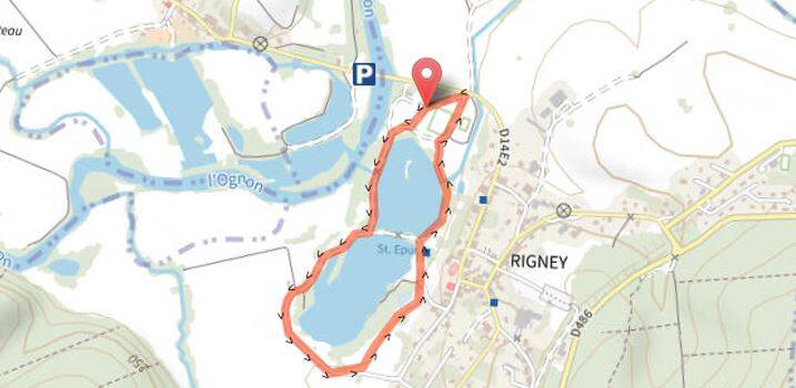rigney e1759919164955