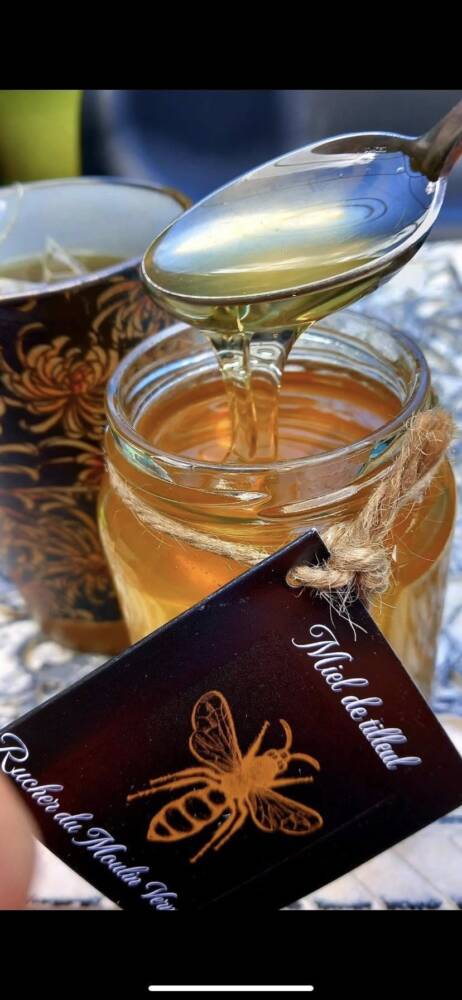 481355508 933182715637298 3338369610026683502 n