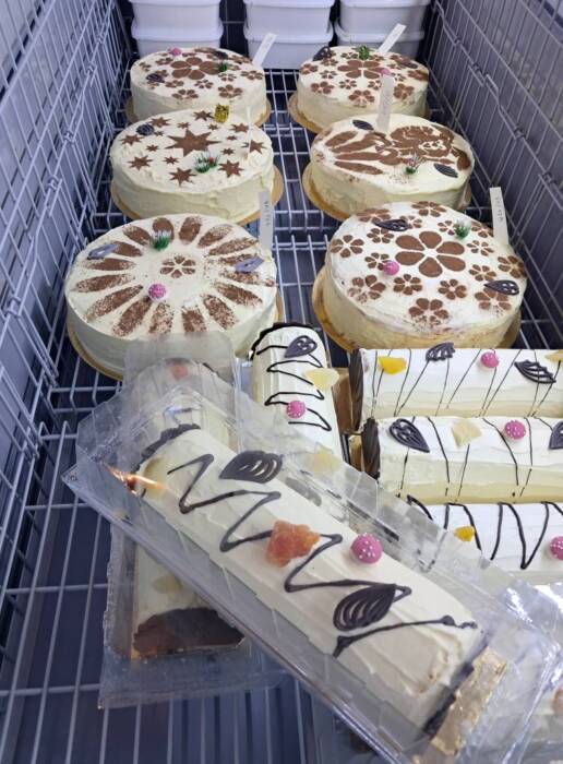 490755008 1586454502302514 123255951915517378 n