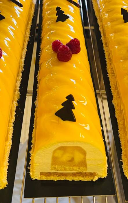 491013332 1218178450315299 1273539950133085294 n