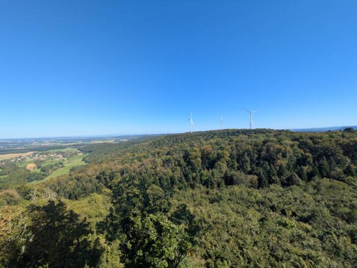 Tour des bois Aller Retour automne 2025 OT DOUBS BAUMOIS 13