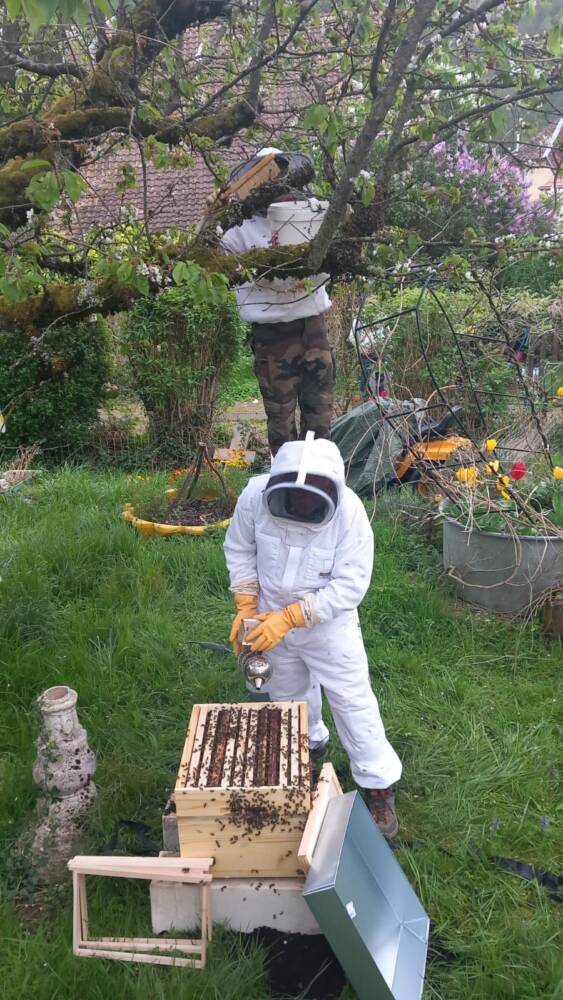 d4837680 9613 405e 9765 e8b2a3efde14