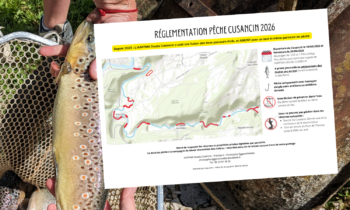 Réglementation du Cusancin 