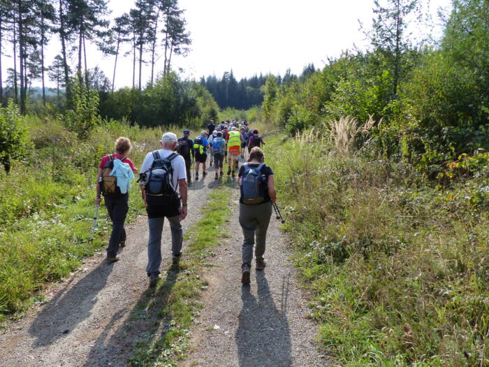 Baume au Coeur 2020 Guy NEDEY99