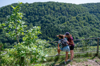 -®jack varlet- safari comtois ve¦ülo-79 copie