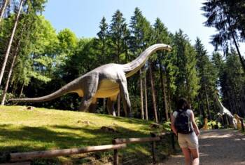PARC DINO-ZOO