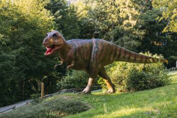 T-rex