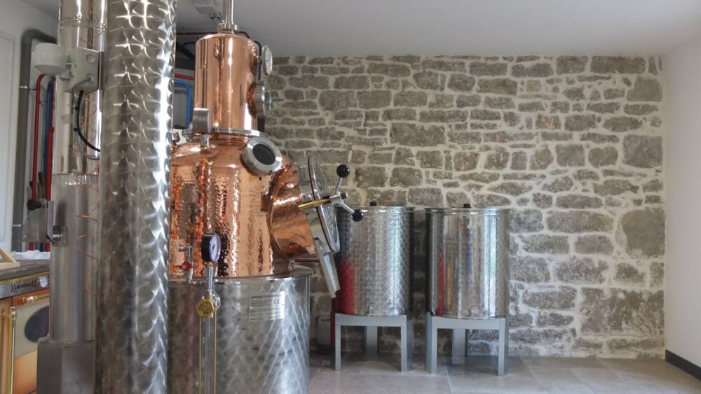 L-atelier-Sauvage--1-