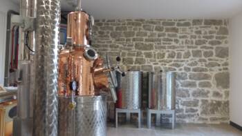 L-atelier-Sauvage--1-