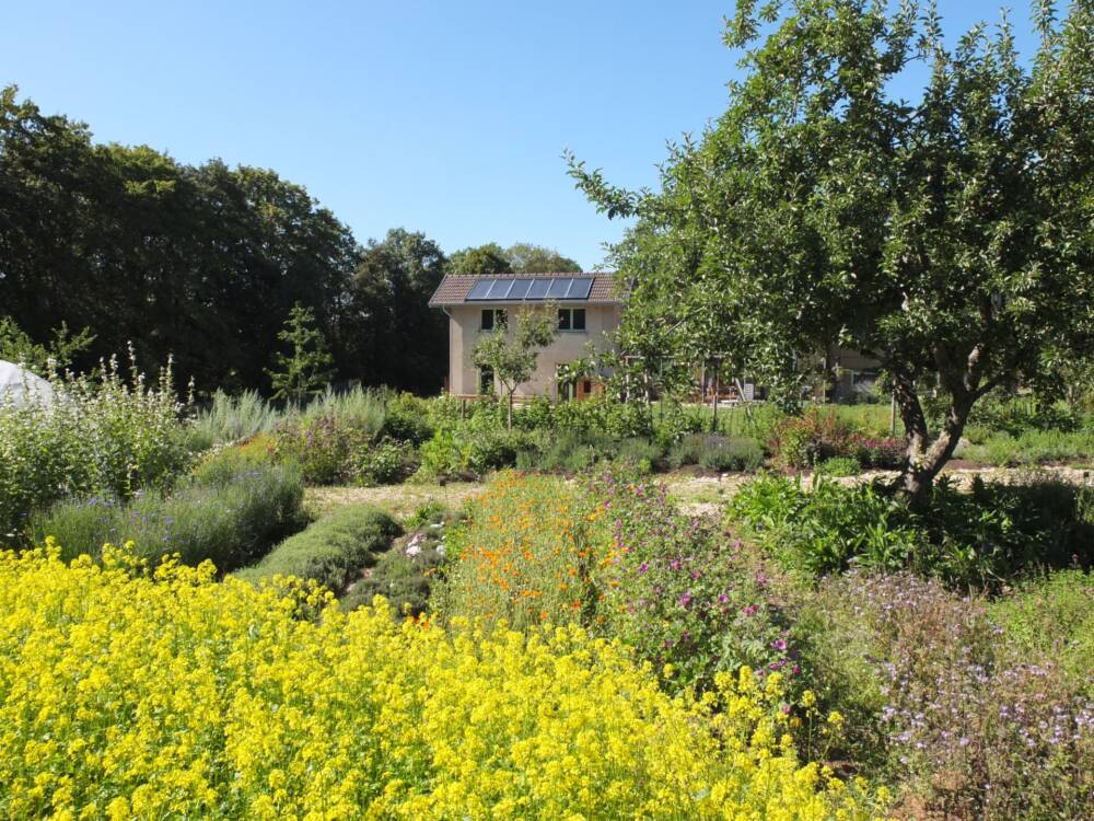 L-atelier-Sauvage--2-