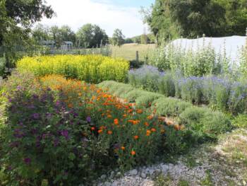 L-atelier-Sauvage--3-