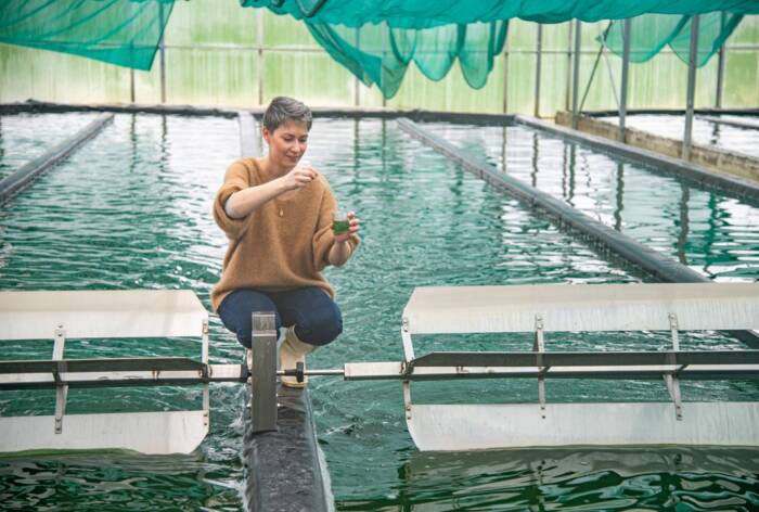 BD - Spiruline du Doubs - Crédit photo Vanessa Liorit