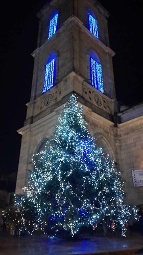 Déambulation Lumière Noël - 2023 - Crédit Claire Delachaux (3)