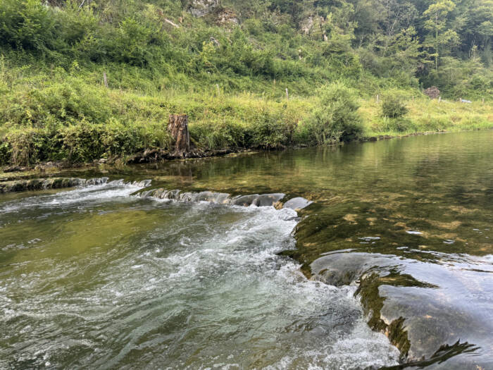 Cusancin - Crédit Alexia Maitrehenry  (20)