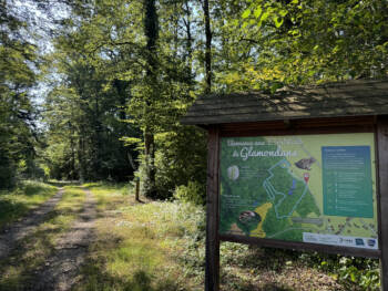 Glamondans - Crédit Alexia Maitrehenry (8)