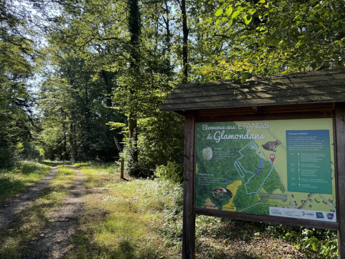 Glamondans - Crédit Alexia Maitrehenry (8)