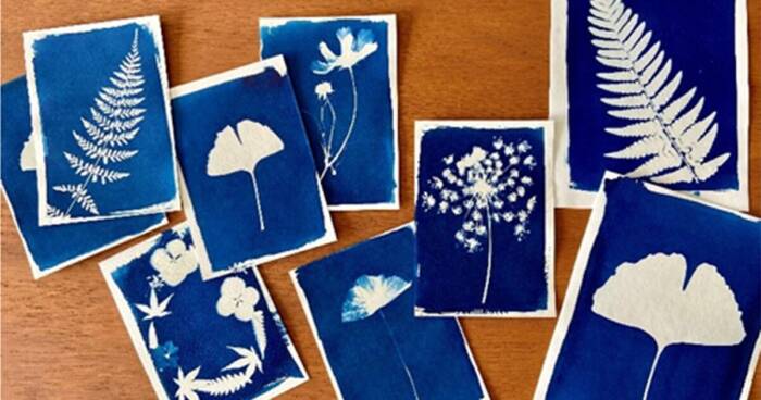 Atelier-cyanotype