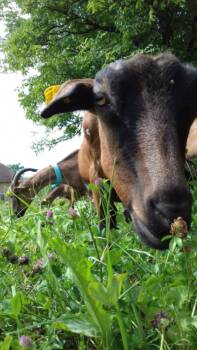 289475599_178762387877326_8962646364802314118_n