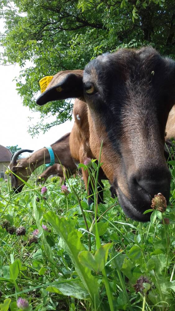 289475599_178762387877326_8962646364802314118_n