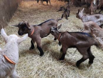 480773199_637554228664804_6401899003484597802_n