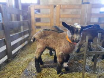 480899609_637554511998109_599061373083782855_n