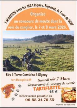 644196978_1370507458424593_4957071031374002468_n