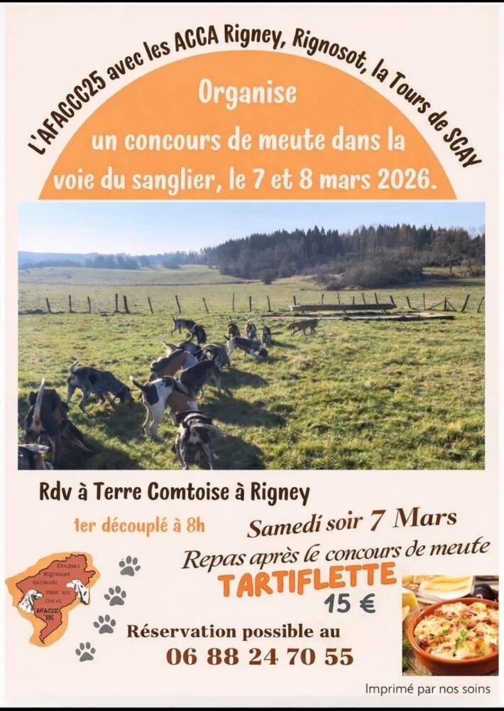 644196978_1370507458424593_4957071031374002468_n