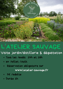 VISITE DES JARDINS ET DE LA DISTILLERIE Tous les Jeudis à 16h en Juillet /Août Réservation conseillée au 06.32.84.91.26 5€ par adulte (dégustation comprise), durée 1h - 1