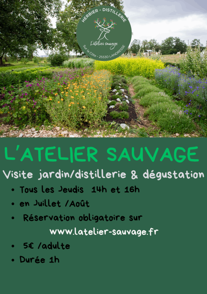 VISITE DES JARDINS ET DE LA DISTILLERIE Tous les Jeudis à 16h en Juillet /Août Réservation conseillée au 06.32.84.91.26 5€ par adulte (dégustation comprise), durée 1h - 1
