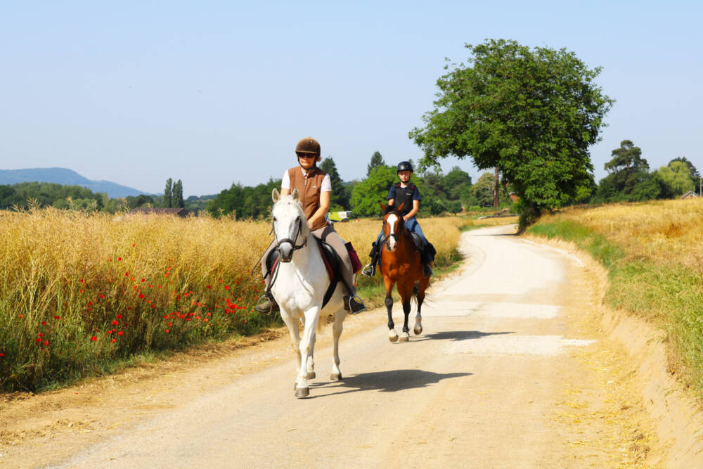 balade_champ_petit_ranch_clos_chevauchee