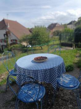 Moment de gourmandise à l'extérieur