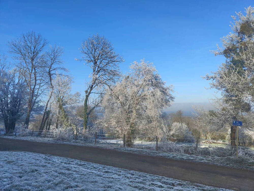 La neige