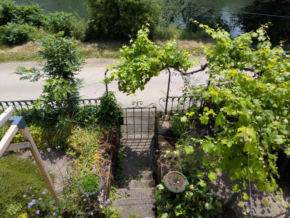 Gîte la quatorze - juin 2025 - OT Doubs Baumois (35)