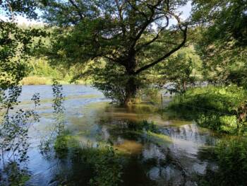 Accés privé moulin Vermoret