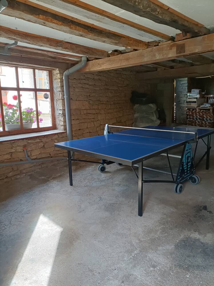 Table ping pong ( interieur / exterieur selon le temps )