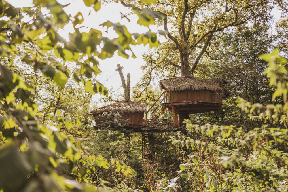 CABANE HERONNIERE - COUCOO GRANDS LACS @pierrebaëlen (5)