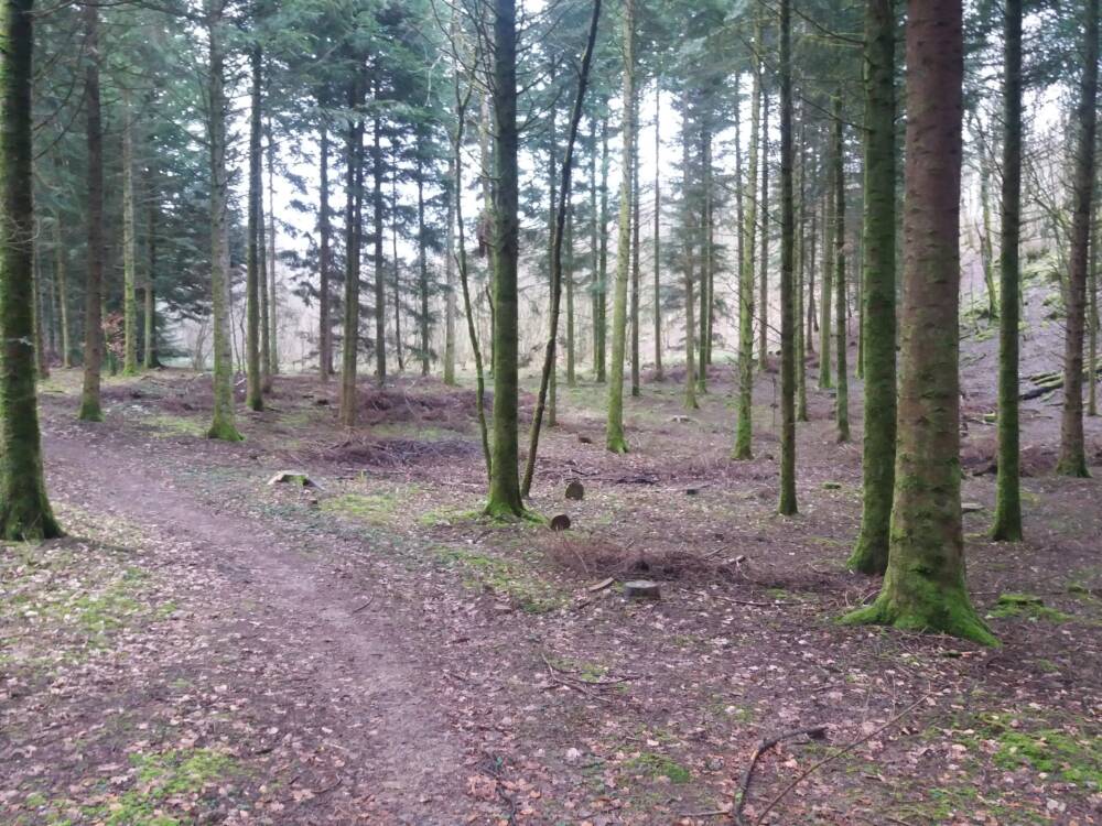 Sentier découverte des dolines