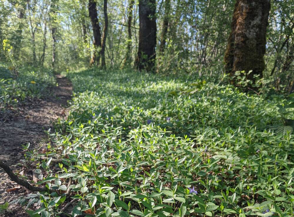 Sentier des dolines - Crédit OT DOUBS BAUMOIS (3)